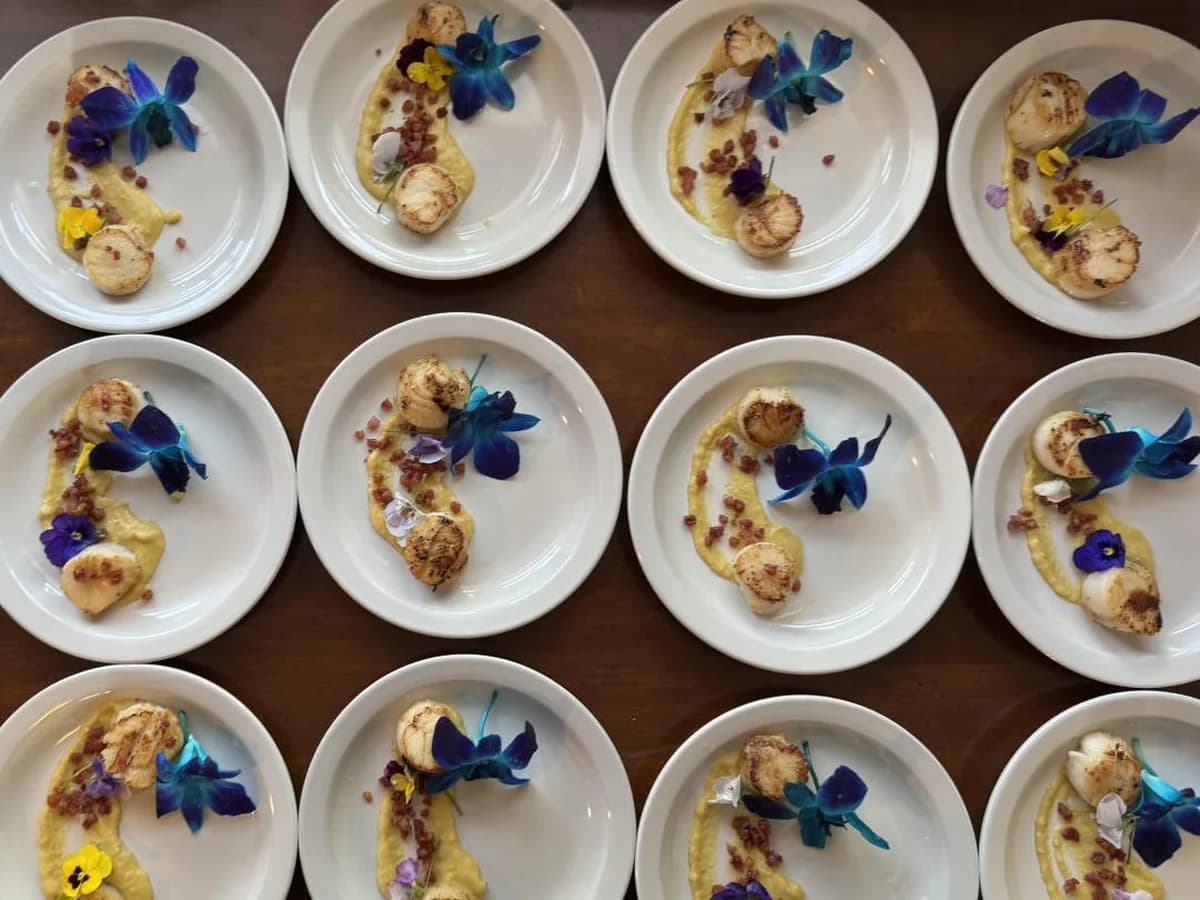 Scallop appetizer plates arranged consistently for polished event service.